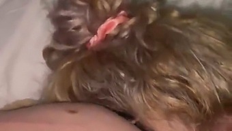 My Lover, I'M Sorry. Please Let Me Give You Oral Pleasure